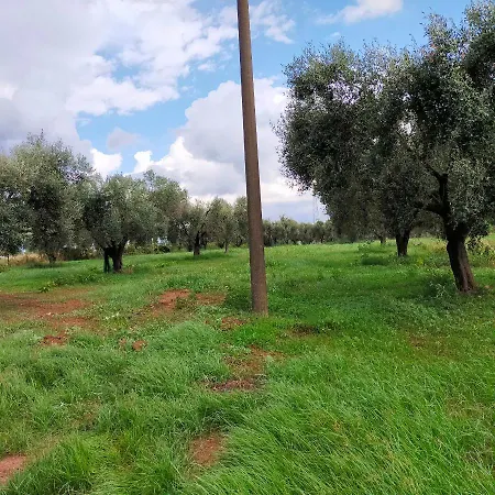 Piccola In Campagna * Mileto