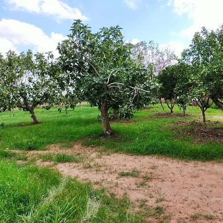 Piccola In Campagna 度假居