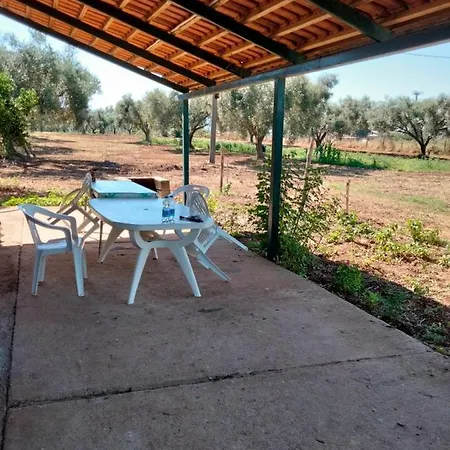 Piccola In Campagna Mileto